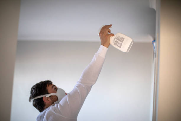 Best Mold Testing and Removal  in Willimantic, CT