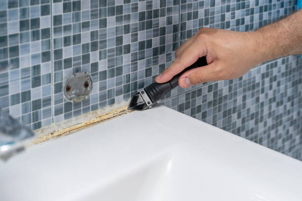 Certified Mold Removal in Willimantic, CT